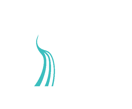 3 Rivers Training